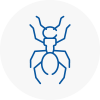 Ant Removals In St Johns Wood