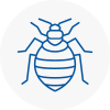 Bed Bug Extermination In St Johns Wood