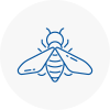 Bee Nest Removal St Johns Wood