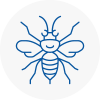 St Johns Wood Hornet Nest Removals