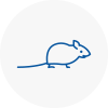 Mice Exterminators In St Johns Wood