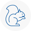 St Johns Wood Rodent Removals